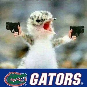 Meet your Posher, Dave